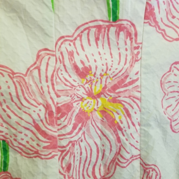 Lily Pulitzer Angela Resort Embroidered Dress SZ - Picture 10 of 13